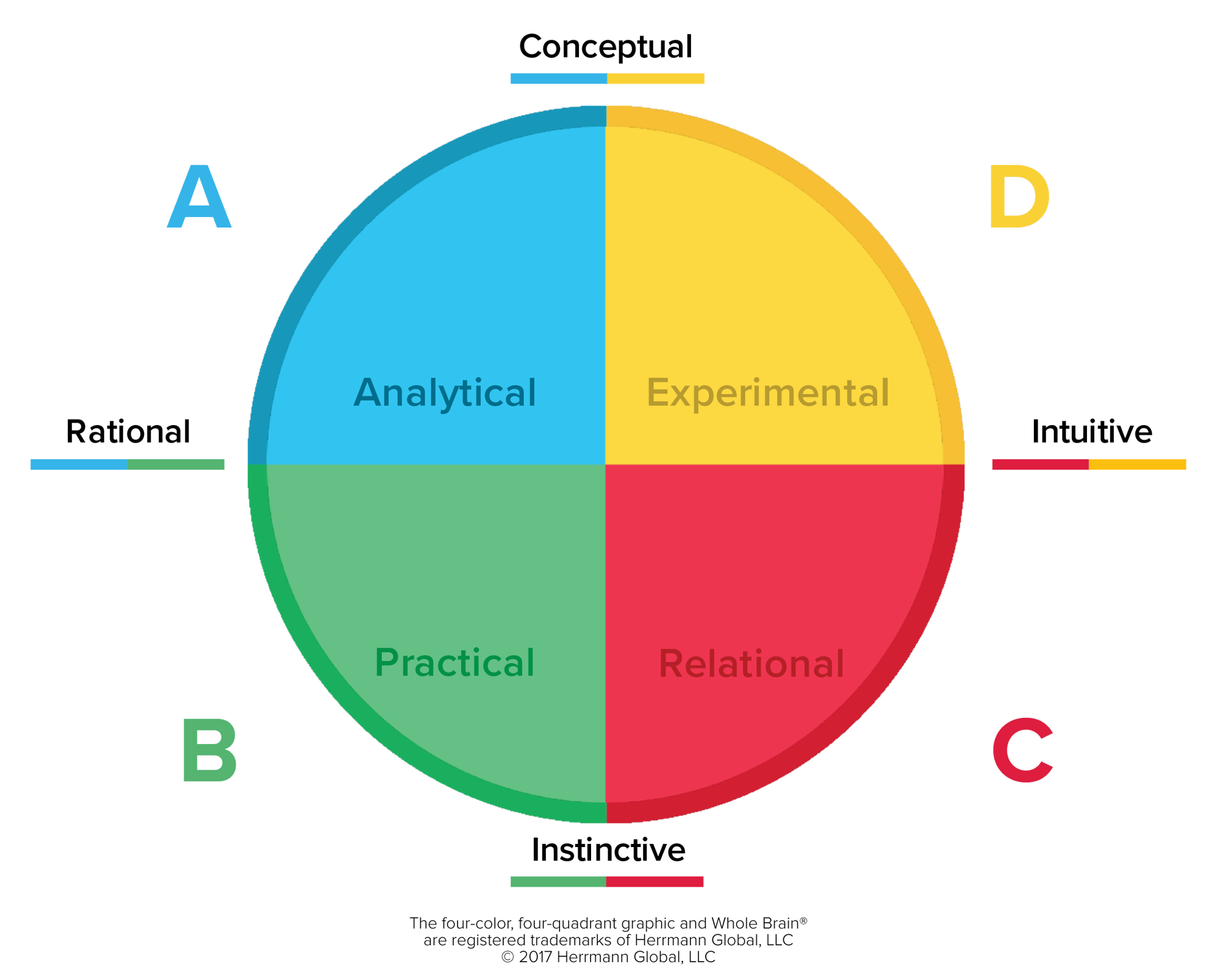 Basic_Whole_Brain_Model
