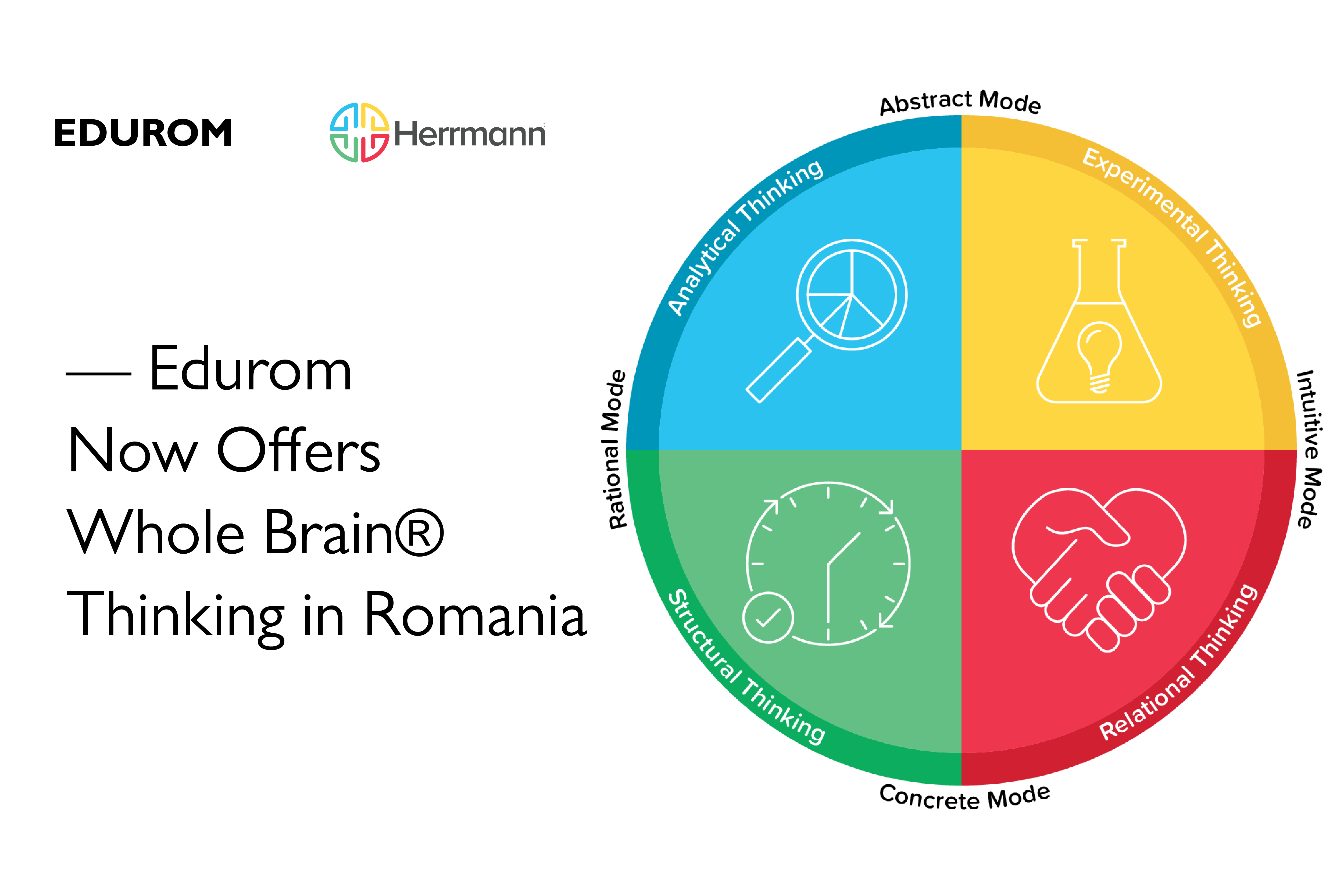 Edurom-Whole-Brain-Thinking-Romania