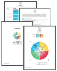 HBDI 4 pg report