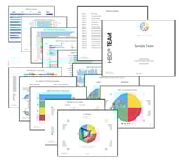 HBDI Participant Team Report