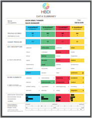 HBDI Summary pg