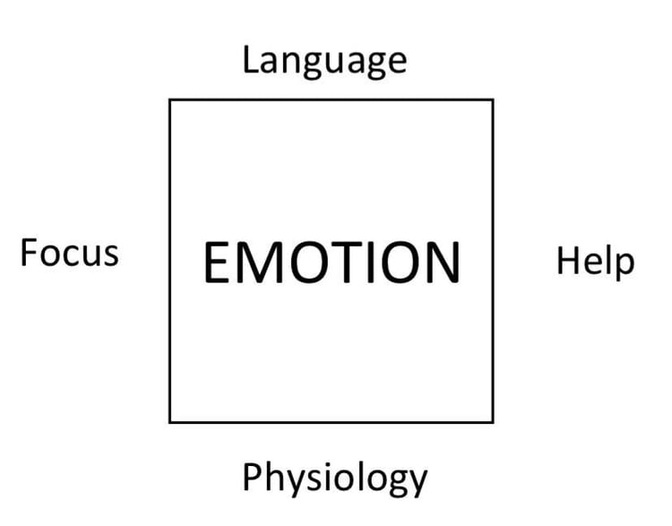 Shift Square Energy Management Habit 1: Managing Your Mindset | Herrmann