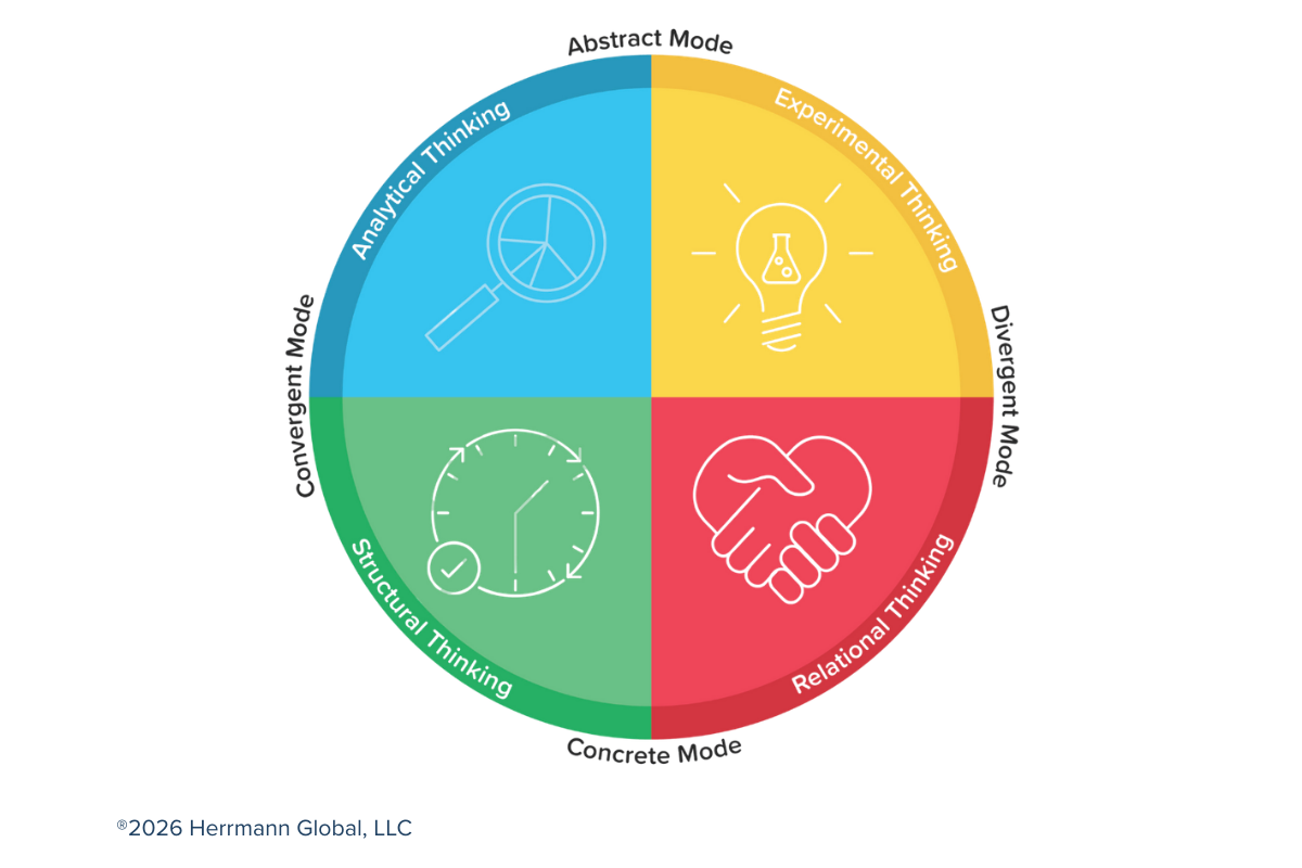 2603 Whole Brain Thinking Model Transparent Background