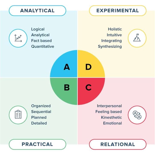 Whole Brain Thinking Model