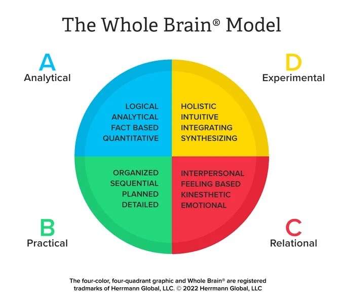 The Whole Brain Model
