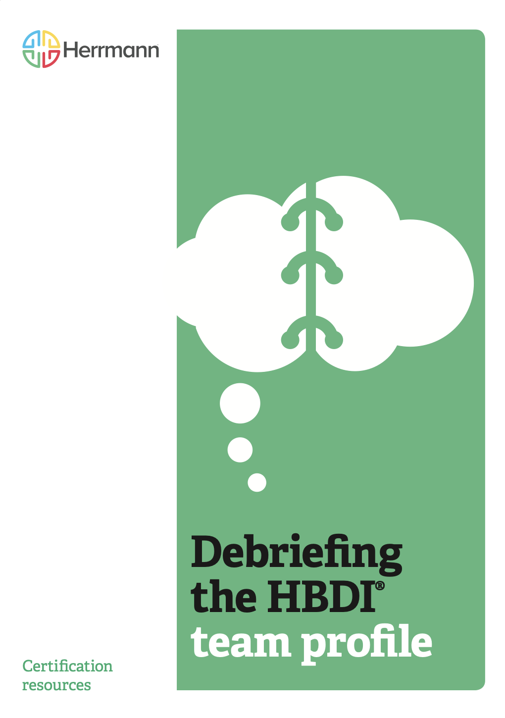 Debriefing the HBDI® Team Profile